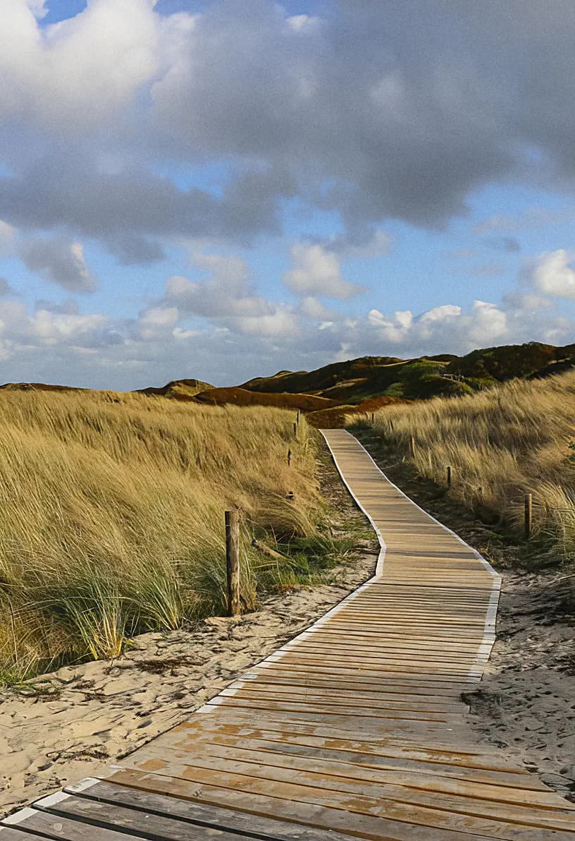 Holzsteg durch Norderneyer Dünen mit hohem Gras und Wolkenhimmel.